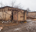 Цыгане в Плеханово год спустя: самострой или временное жилье?