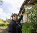 «Сначала докажите законность, потом просите экспертизу»: как туляки живут в конюшне XIX века