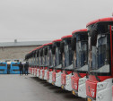 В Туле появятся 49 новых автобусов