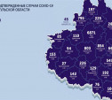 Самые зараженные районы Тульской области: карта на 23 ноября