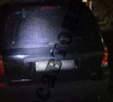 Ночью в Кимовском районе пьяная автоледи насмерть задавила женщину