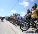В Туле состоялся велопарад