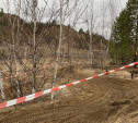 На Суворовских карьерах мотогонщики перетянули лес километрами сигнальной ленты