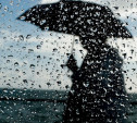 Погода в Туле 23 июня: облачно, дождливо и прохладно