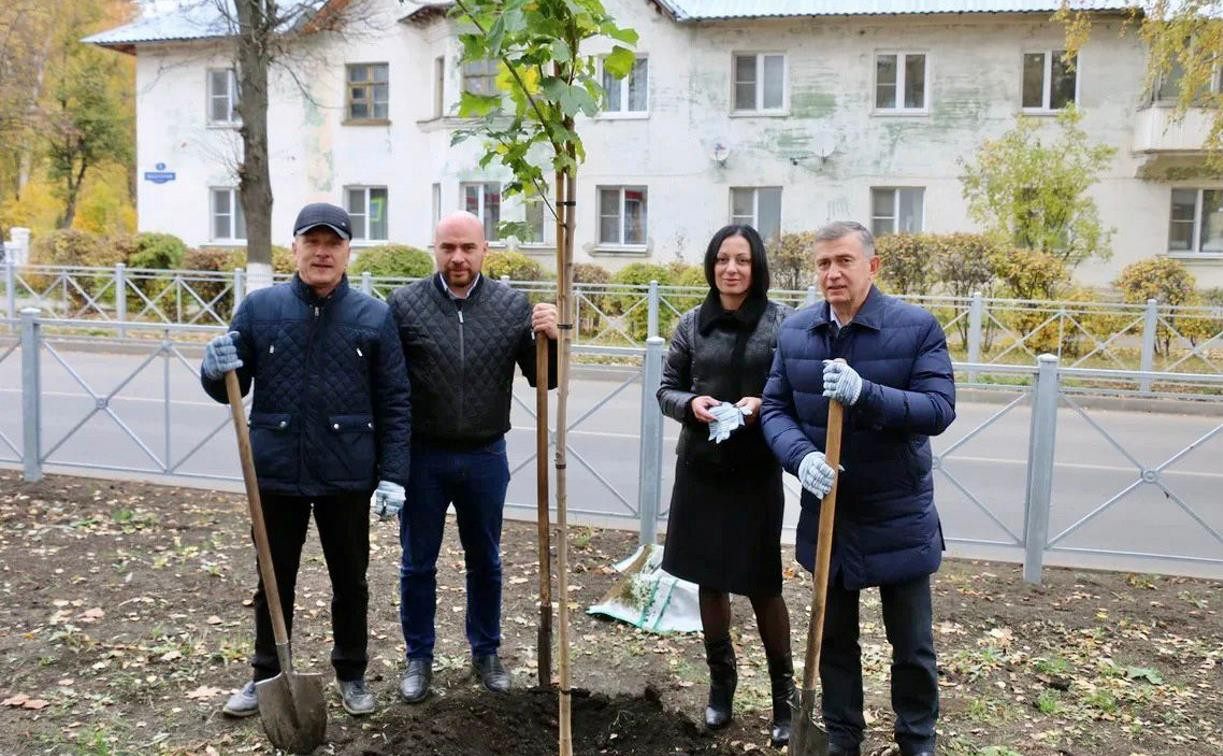 В Новомосковске появилась кленовая аллея