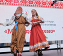 В Туле прошел фестиваль народной культуры «Молодо-зелено»