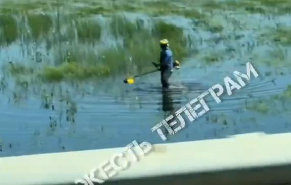 В Туле газонокосильщик косил воду в болоте