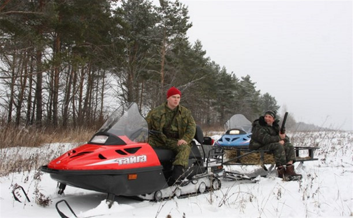 В Кимовске браконьер сбивал на снегоходе косуль на территории музея-заповедника «Куликово поле»