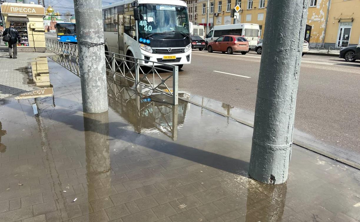 «Жалко, мы не умеем ходить по воде»: в Туле после ливней затопило дороги и тротуары