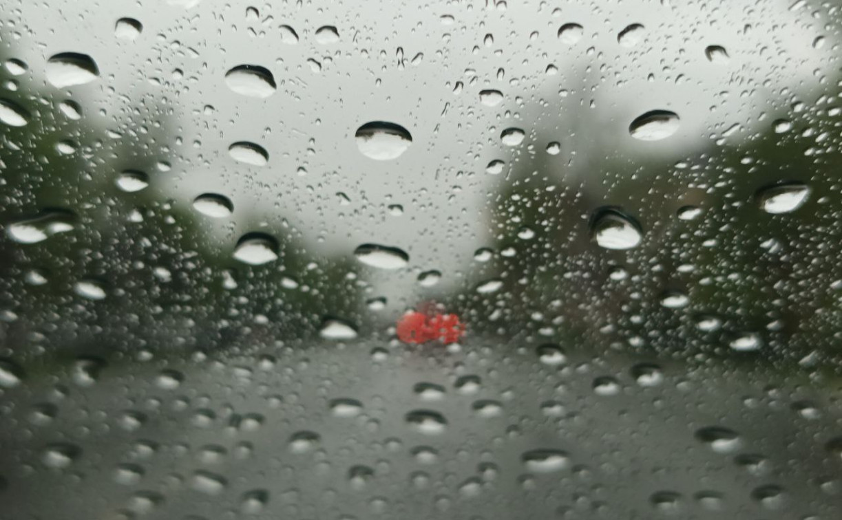 Погода в Туле 31 октября: дожди и ветер