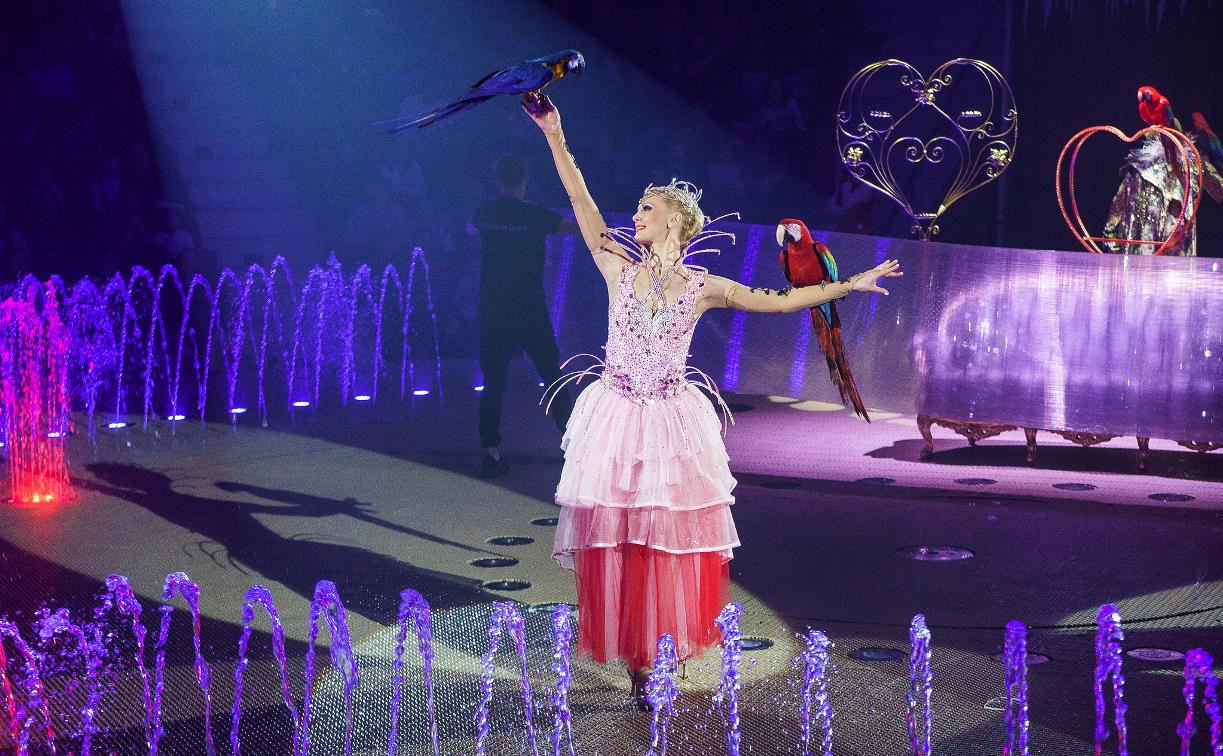 Премьера в Тульском цирке: шоу фонтанов «13 месяцев» удивит вас!