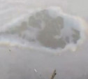 Туляки засняли масляные пятна на Упе: видео