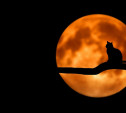 В ночь на 17 июля туляки смогут увидеть лунное затмение