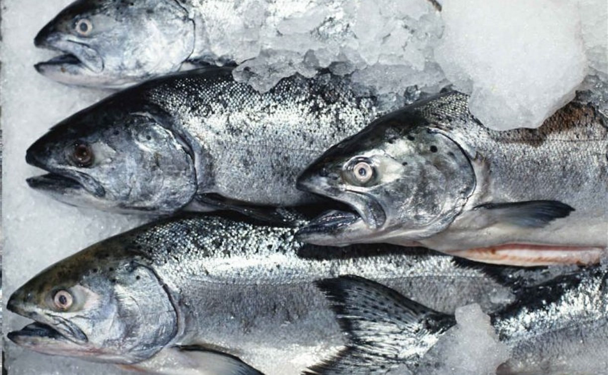В Калининград не пустили 20 тонн замороженной рыбы из Тульской области