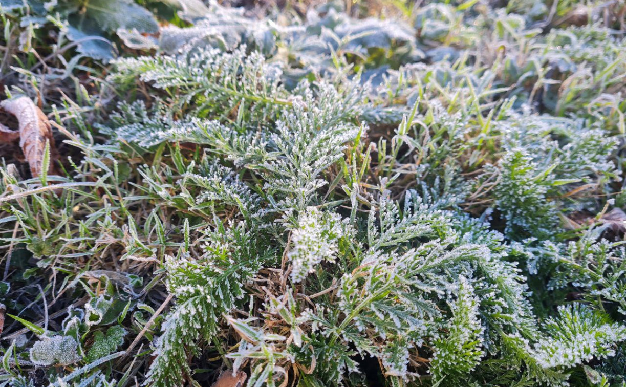 В Тульской области 19 ноября ожидаются «температурные качели»