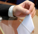 В Новомосковске на 12.00 явка избирателей составила 16,22%