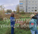 В Богородицке жители пожаловались в прокуратуру на фекальные реки 