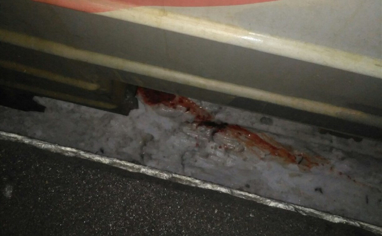 В Тульской области под поездом погиб мужчина