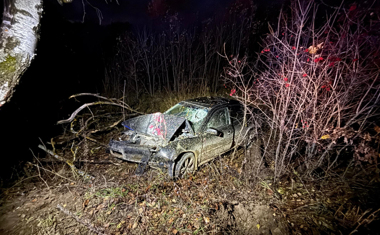 В Алексинском районе Skoda улетела в кювет