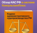 КонсультантПлюс: Основные новшества Кодекса административного судопроизводства