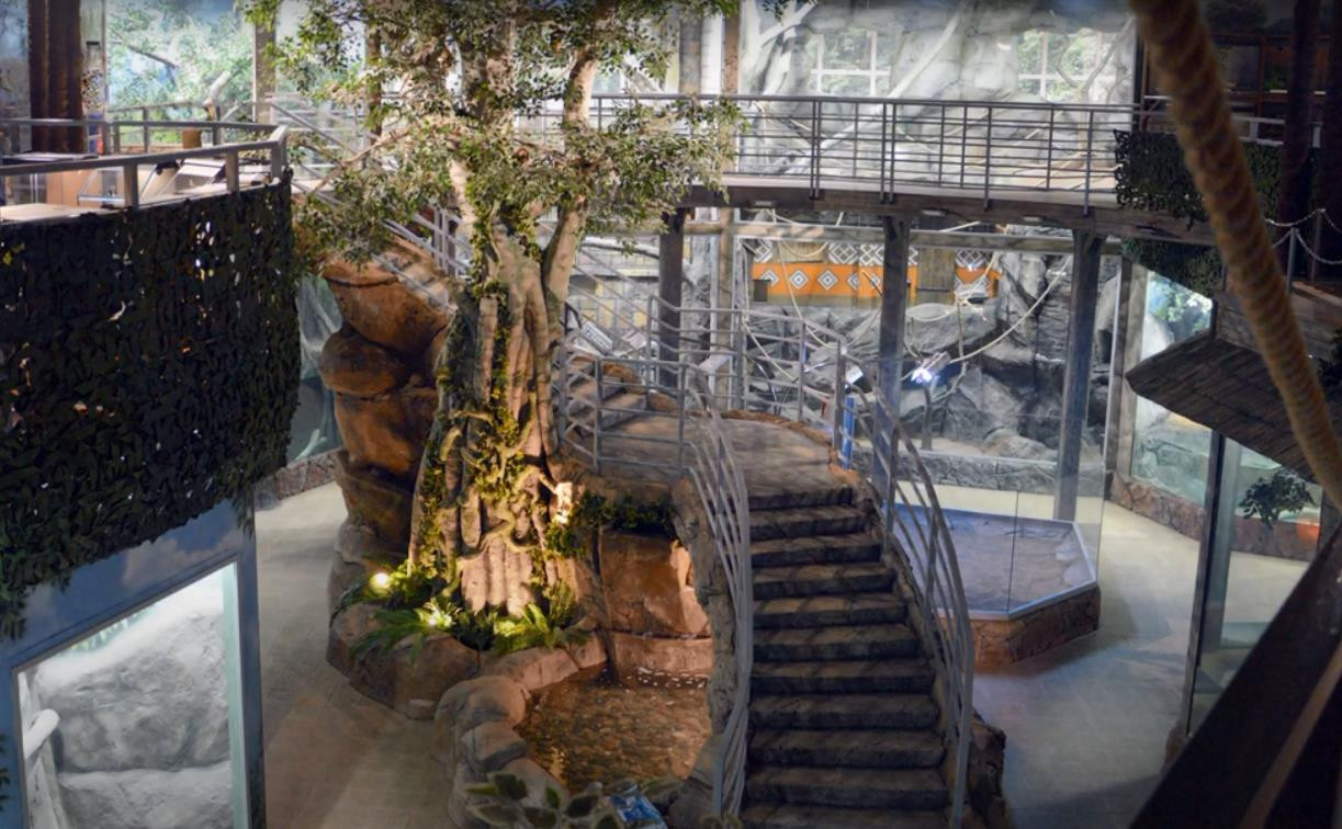 Как возводили тульский экзотариум: к 4-летию зоопарк показал таймлапс строительства