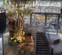 Как возводили тульский экзотариум: к 4-летию зоопарк показал таймлапс строительства