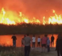 Тульские спасатели помогают тушить лесные пожары в Воронеже