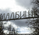 Туляки о строительстве нового кладбища в Пролетарском районе: «Мы не хотим дома с видом на погост!»