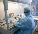 В Тульской области 209 новых случаев коронавируса и 10 летальных исходов