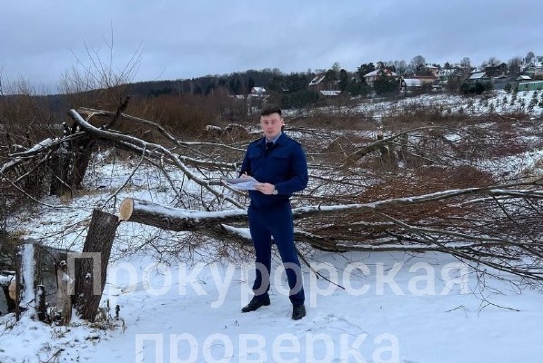 В Алексине ищут «черных лесорубов», уничтоживших ивы в прибрежной зоне Оки