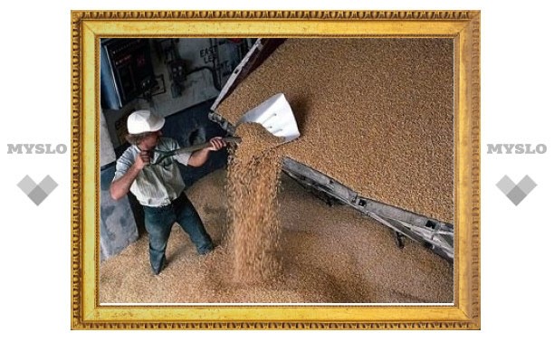 Россия приостановила зерновые интервенции