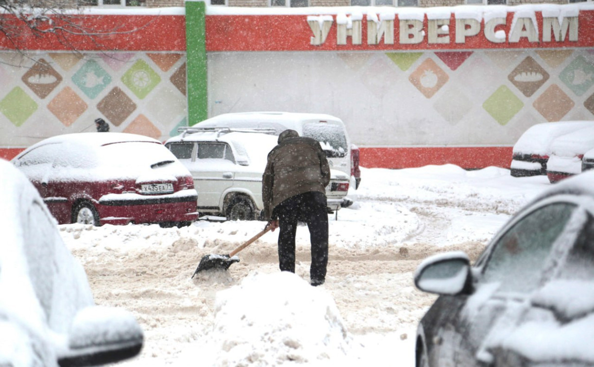 Сильный снегопад в Тульской области: какие районы засыпало больше всего?