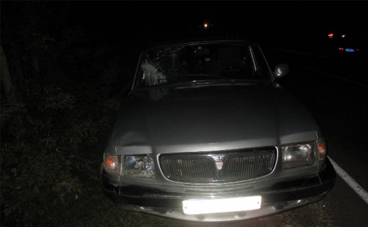 В Кимовском районе пешеход погиб под колесами «Волги»