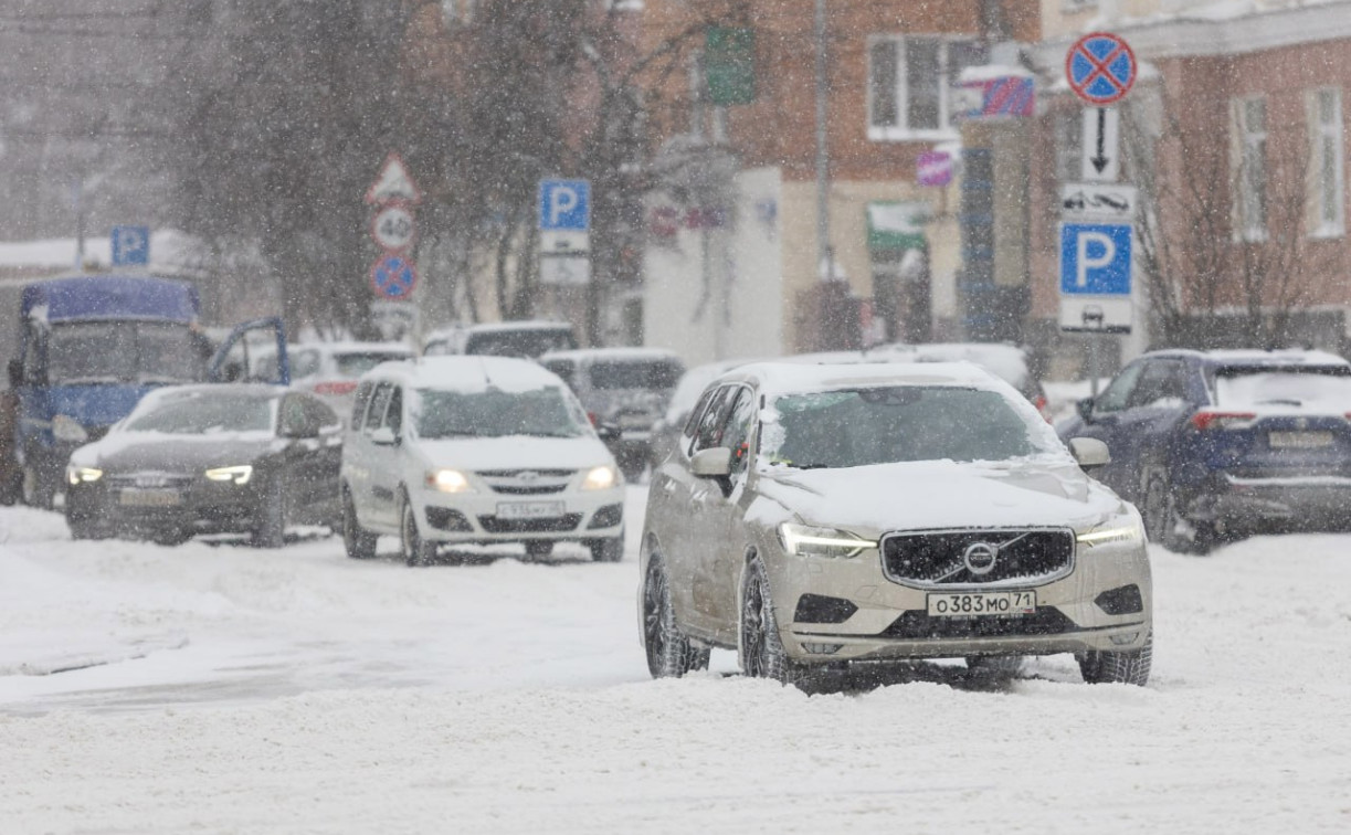 Метель в Тульской области задержится до конца суток 17 февраля
