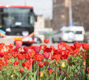 Погода в Туле 22 мая: жарко и без осадков!