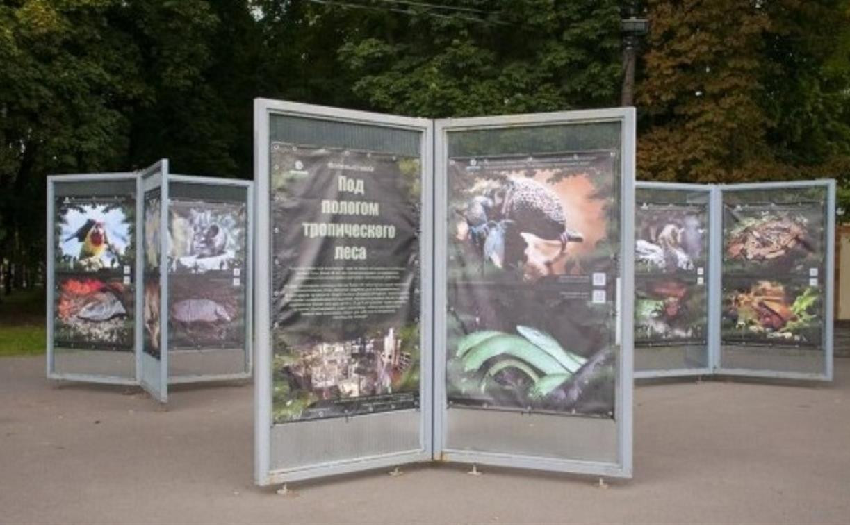 В Белоусовском парке открылась фотовыставка «Под пологом тропического леса»