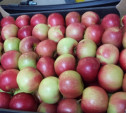 В Новомосковске на рынке нашли более 200 кг санкционных яблок
