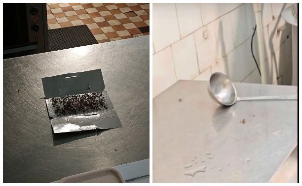 Детский сад в Болохово захватили тараканы