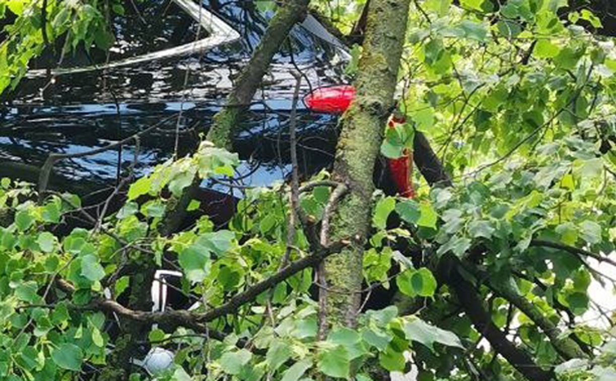 На ул. Оборонной дерево упало на припаркованные машины