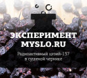 Эксперимент Myslo: туляк обнаружил радиоактивный цезий-137 в сушеной чернике с Wildberries