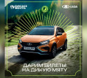 Хотите выиграть входной билет с парковкой на «Дикую Мяту»? (6+)