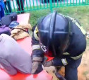 В Новомосковске на детской площадке застрял ребенок: видео