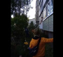 Первый этаж, бабушка и спасатели: очень странное видео из Новомосковска