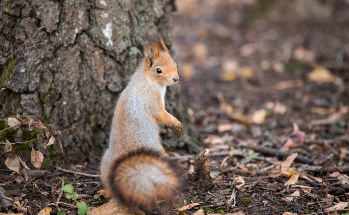 Тепло вернется в октябре