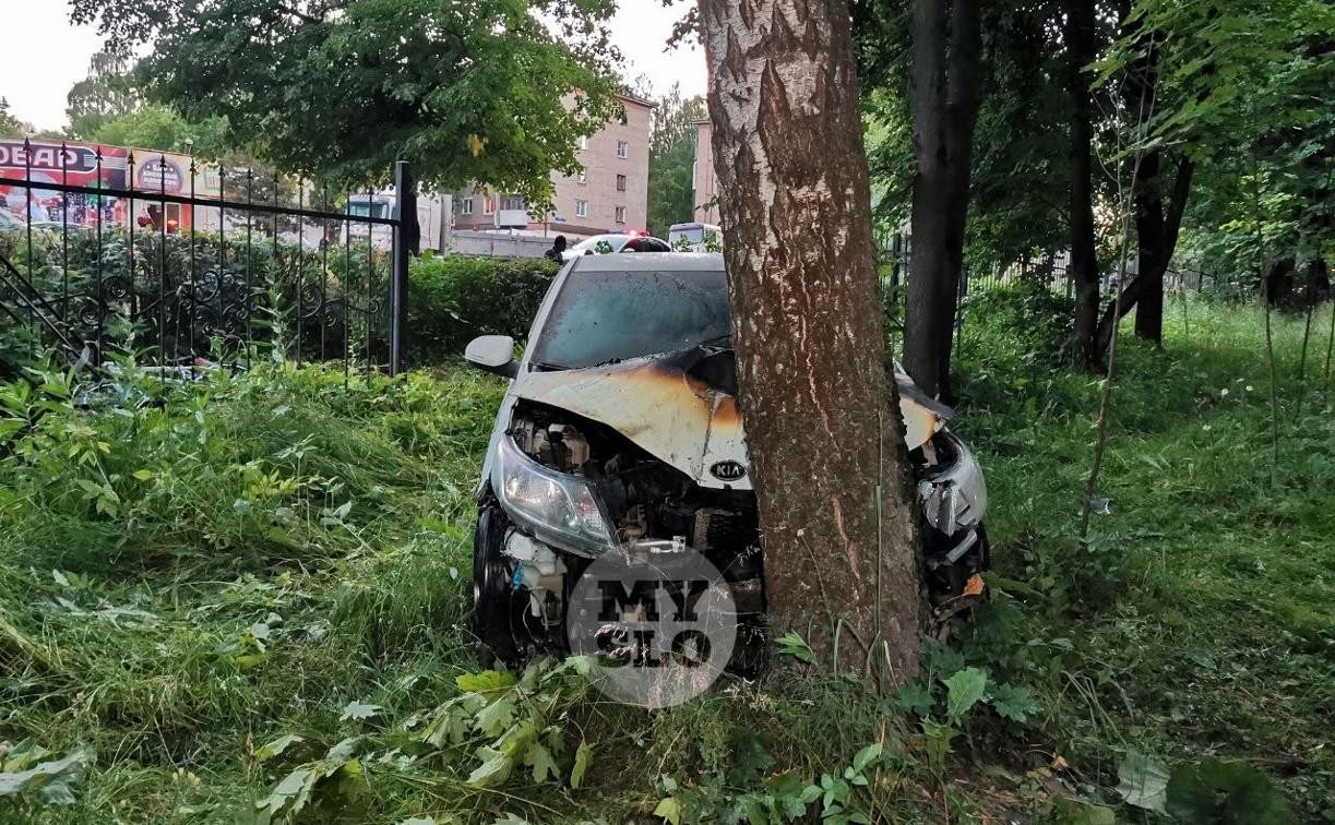 Водитель потерял сознание: Kia Rio влетел в забор Пролетарского парка, врезался в дерево и загорелся