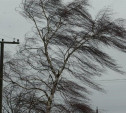 Тульский гидрометцентр: В регионе ожидается усиление ветра