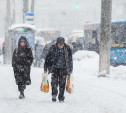 Погода в Туле 21 января: снегопад и сильный ветер