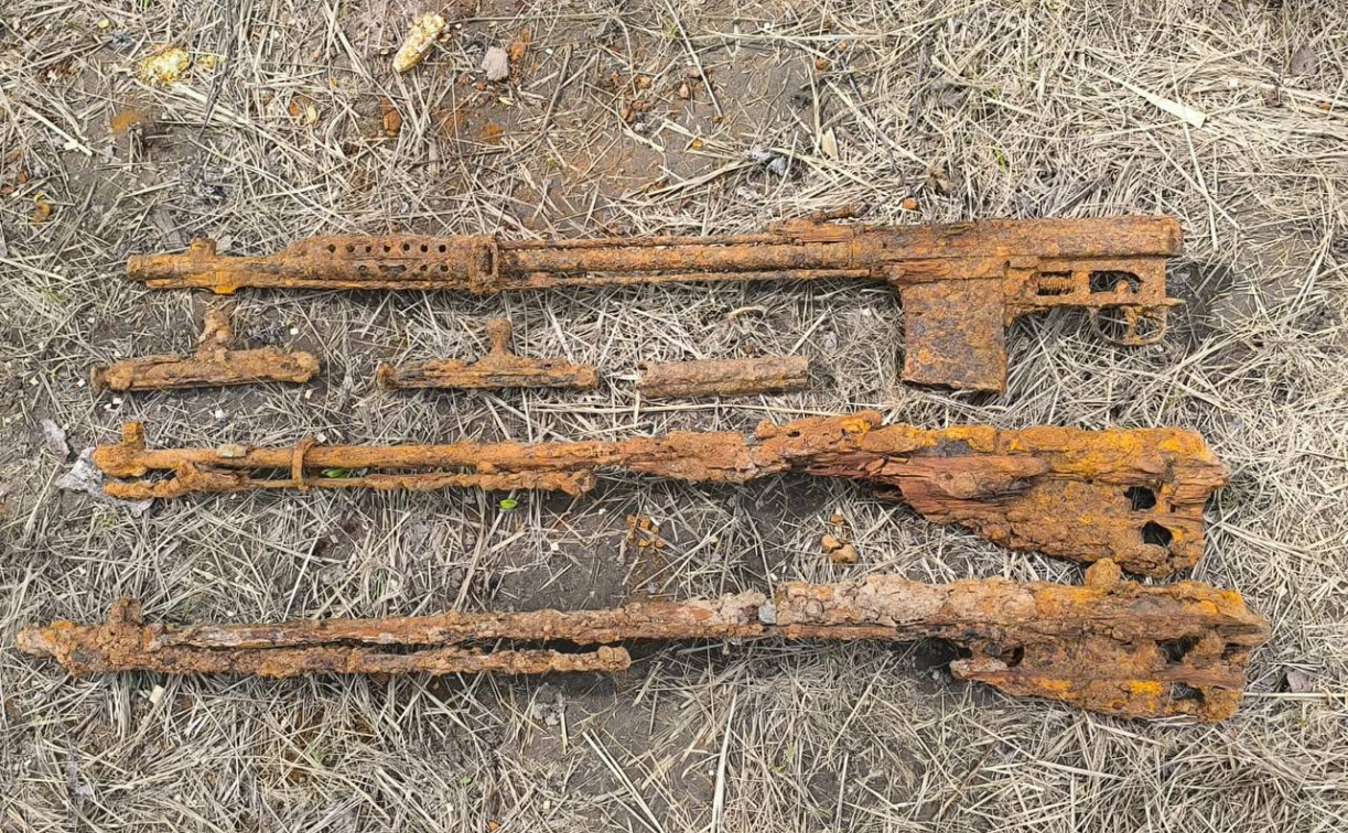 Тульские поисковики нашли останки трех бойцов Красной армии в Белевском районе