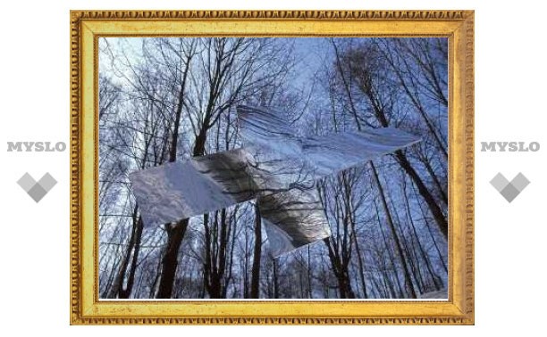 Третьяковская галерея получила в подарок серию снежных фотографий