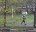 Погода в Туле 27 апреля: дождливо и ветрено